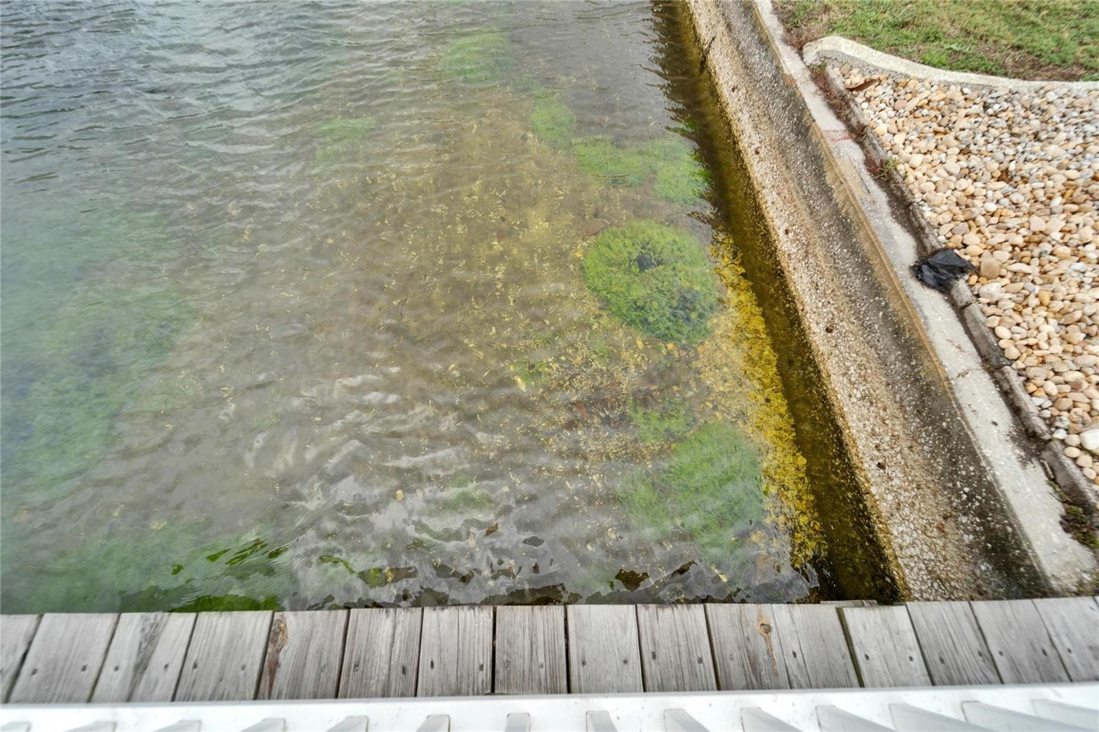 DEL WEBBS SUN CITY FLORIDA UN - Residential