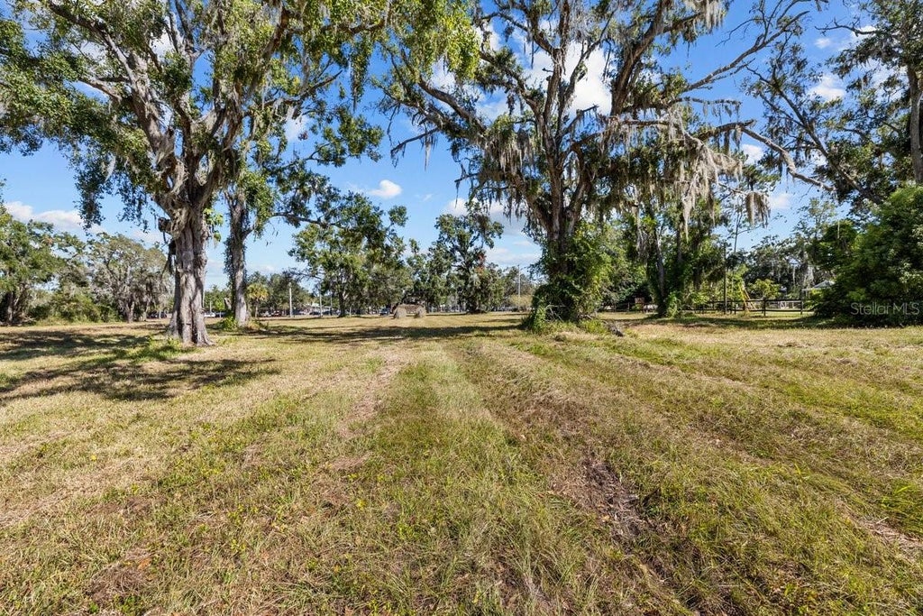 Photo of 13414 N Lincoln Avenue, Tampa, FL 33618 (MLS # TB8539993)