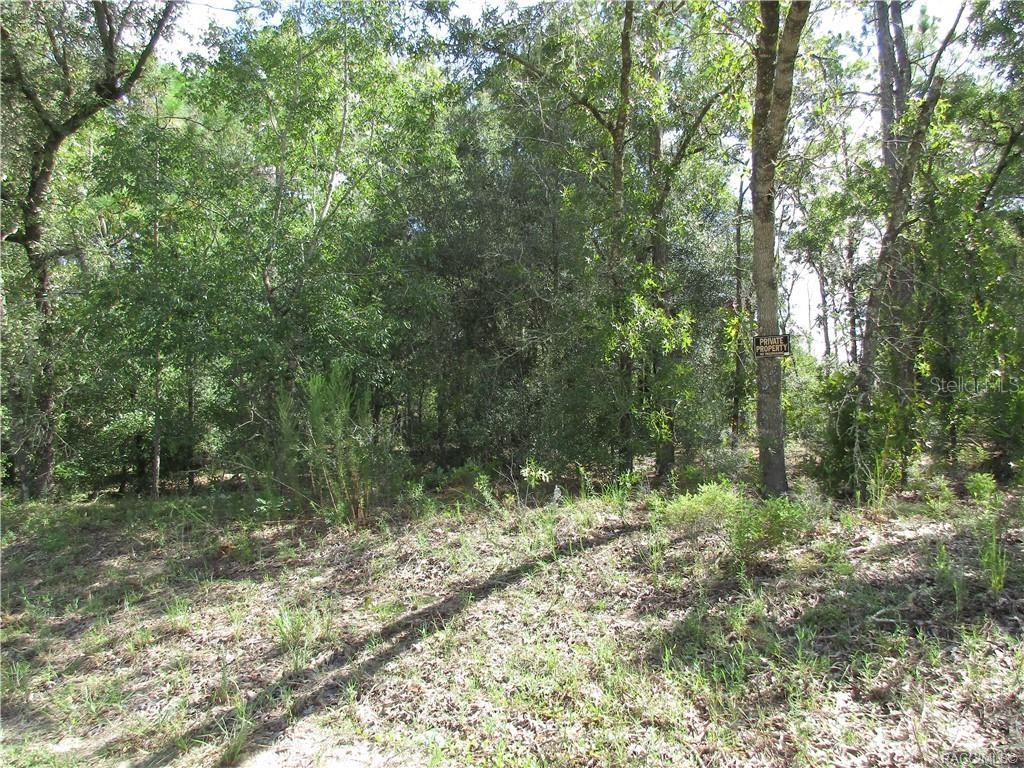 Wooded lot available in the homes-only subdivision of Citrus Springs and conveniently located near the Withlacoochee State Trail for hiking or biking. A number of homes under construction. Power lines and waterlines are already on the street!!! Located near shopping, medical facilities and parks. Just a short drive to the Rainbow River State Park and Dunnellon for swimming, kayaking, or tubing on the Rainbow River and a short drive to Ocala. About 30 minutes or so from Crystal River to some of the best fishing, boating, scalloping, and swimming!! You can even swim with the manatees on the Crystal River. So much beauty and nature to enjoy! Come and experience all that the Florida Nature Coast has to offer. There are deed restriction but no HOA and no mandatory membership.