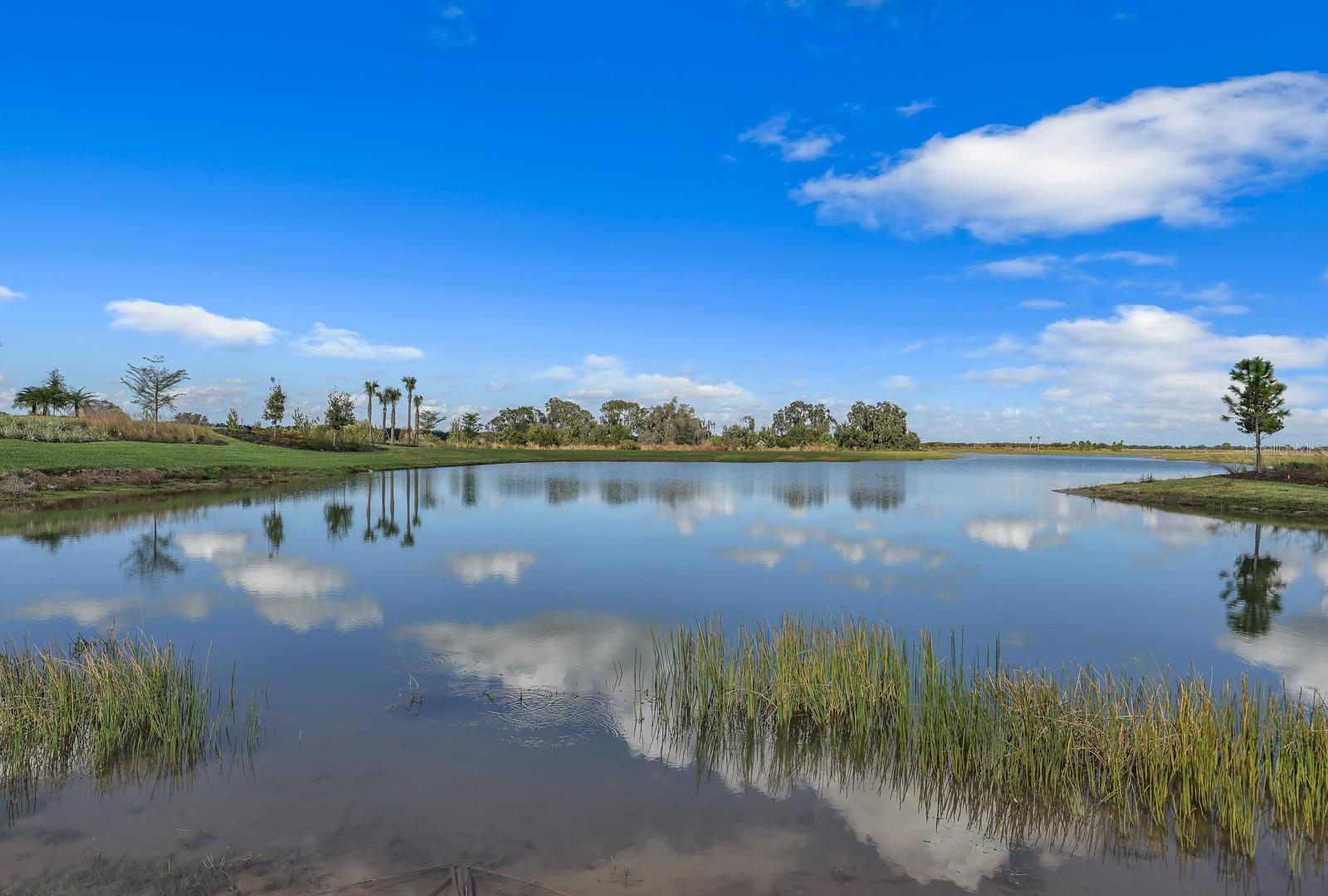 MONTEREY AT LAKEWOOD RANCH - Residential