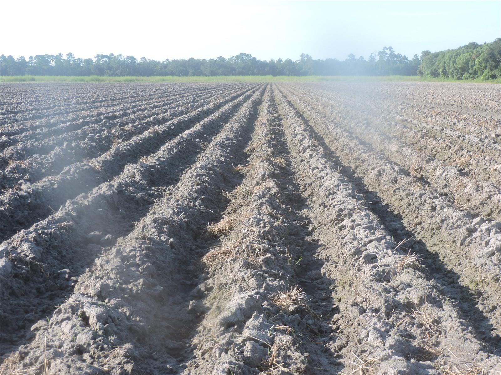 ST JOHNS DEV CO - Land