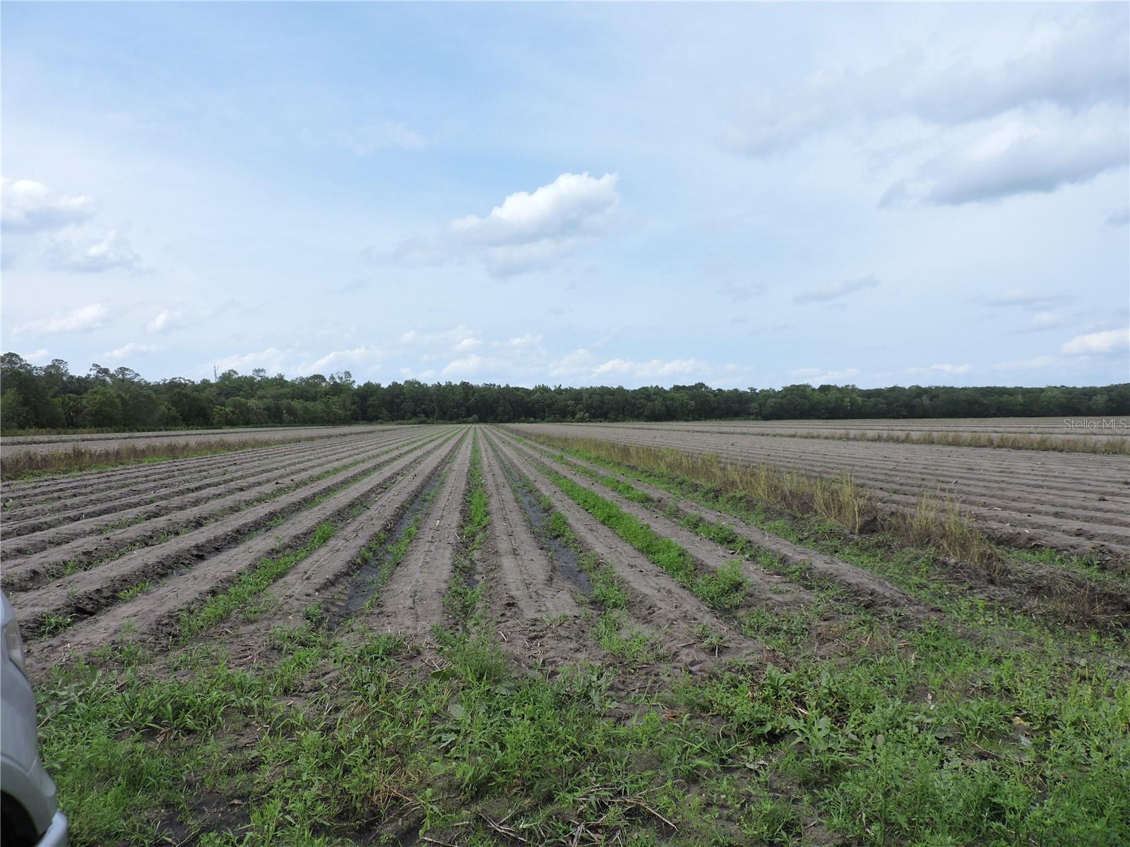 NO DEED RESTRICTIONS OR WETLAND ON THIS 10-ACRES. Looking for cleared land in the country ready for your new home, modular home, or manufactured home? Here it is ready for you to bring your RV"s, boats, ATV's, horses, all your toys, plant a garden, and enjoy the outdoors minutes from town. Once your home is completed, you can park your work trucks & trailers. IT IT'S TOO MUCH LAND, AFTER YOU PURCHASE, you can split the land one time and own two 5-acre parcels (one for you & one to sell). Buyer is responsible for driveway, well, septic, power, and all permits. Once surveyed a new legal description & parcel number will be given, as this legal is for all 20 acres. The 10 acres to the West of this there's also available see MLS # FC312255 SELLER IS HAVING IT SURVEYED.