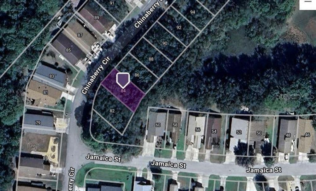 Photo of 84 Chinaberry Circle, Homosassa, FL 34446 (MLS # A4668349)