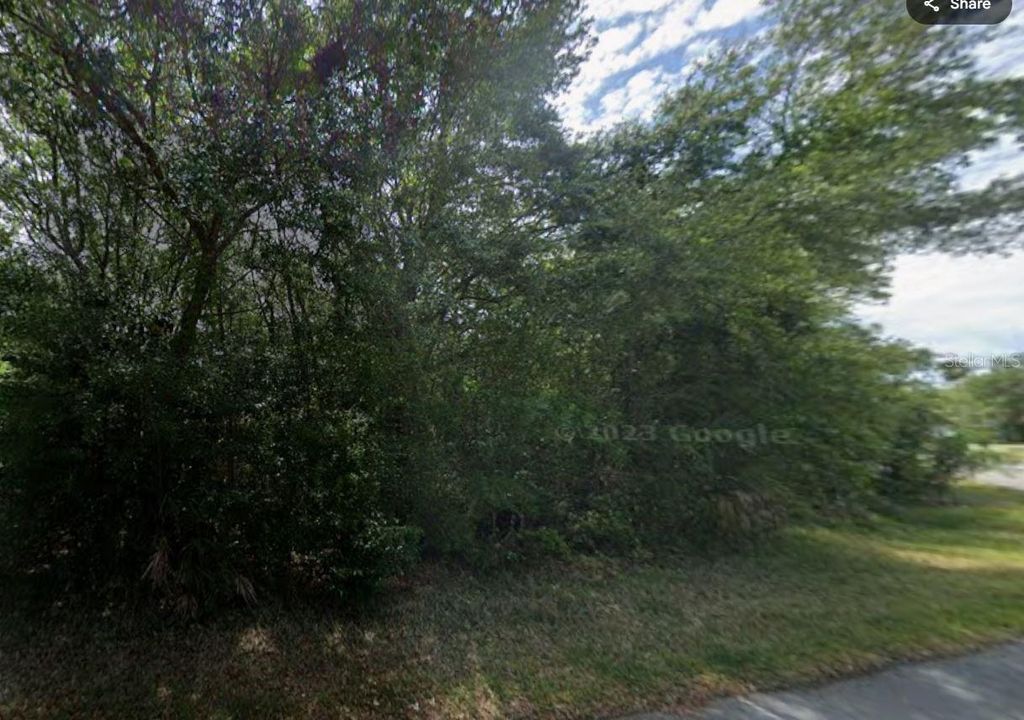 Photo of 84 Chinaberry Circle, Homosassa, FL 34446 (MLS # A4668349)