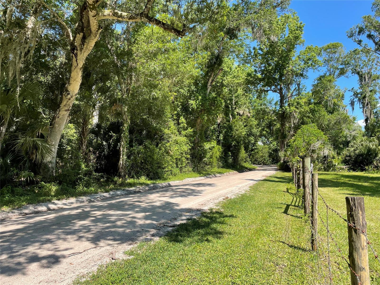 Beautiful 7 acre property just moments to the Indian River Lagoon. Property is wooded with large growth trees including oaks, magnolias, maple, and orange trees. Land is in the city of Oak Hill and zoned Agriculture, meaning you can have animals, accessory structures, and many different home businesses. NO HOA. Also, just down the road from Burns Science and Technology School, one of the top rated schools in the area. Environmental study is complete and shows ample space for homesite and barn.
For additional information on the building and zoning restrictions contact the City of Oak Hill.; Cleared: No