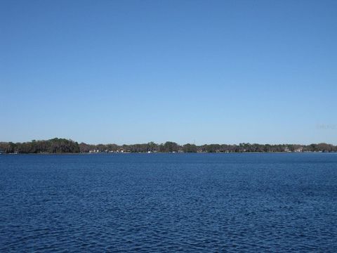 Photo of 18620 Wayne Road, Odessa, FL 33556 (MLS # O6313647) Photo of 18620 Wayne Road, Odessa, FL 33556 (MLS # O6313647)