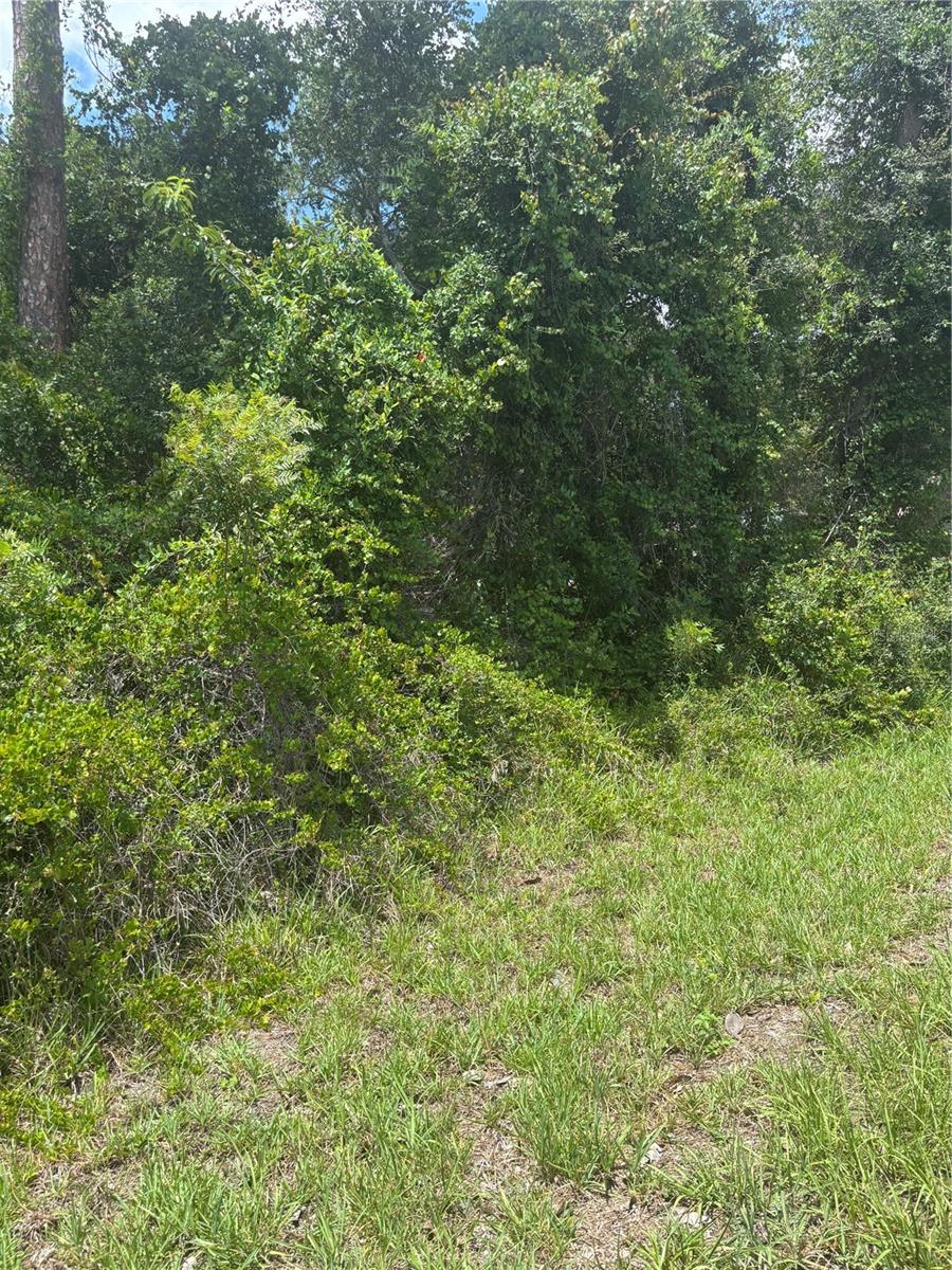 CANAL FRONT VACANT LOT IN WINDING WATERS NAVIGATE THROUGH THE CANAL OF WINDING WATERS TO ACCESS TO HALF MOON LAKE. Agent is related to owner