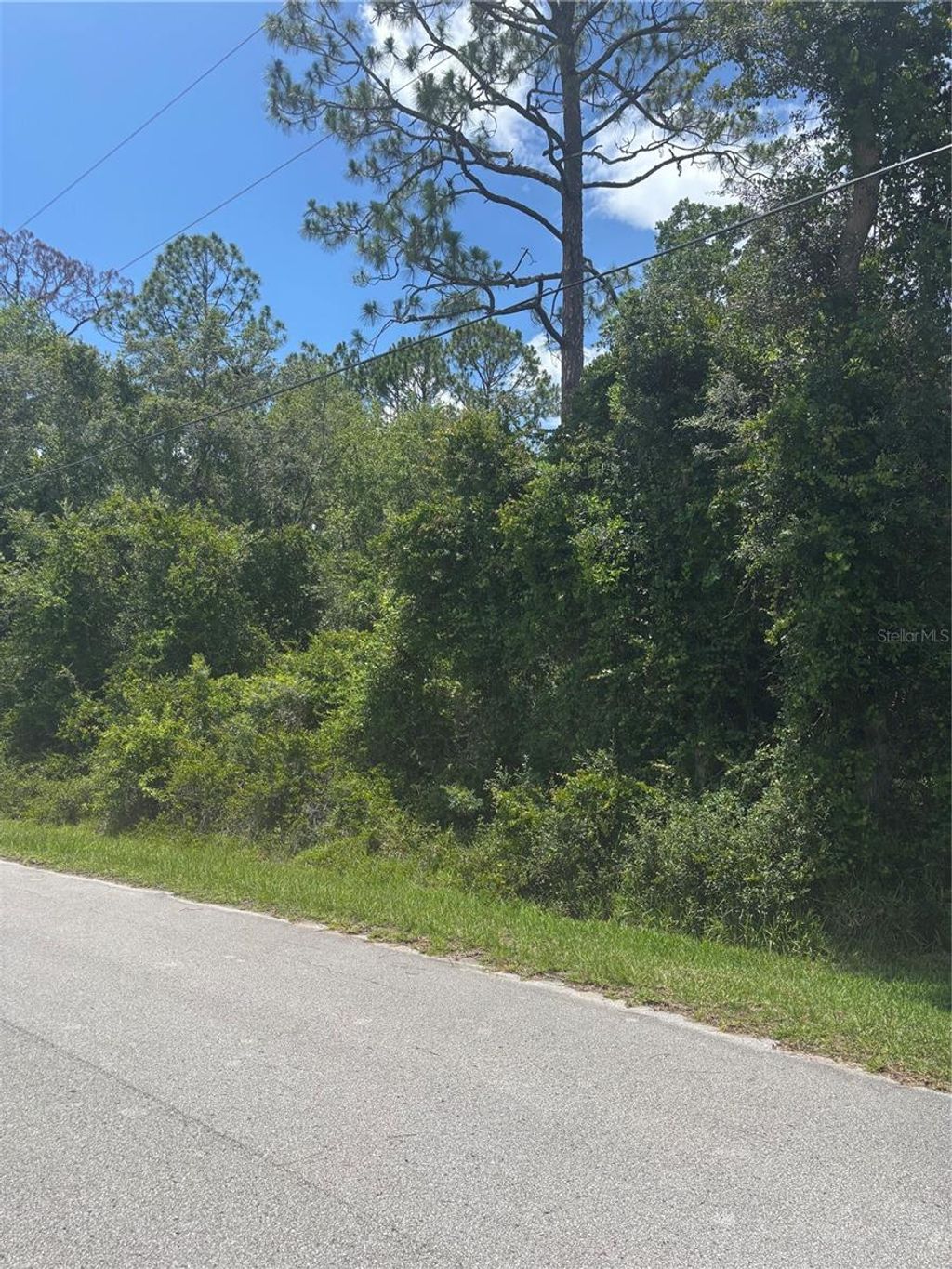 Photo of 00 SE 186th Court, Ocklawaha, FL 32179 (MLS # OM704296)