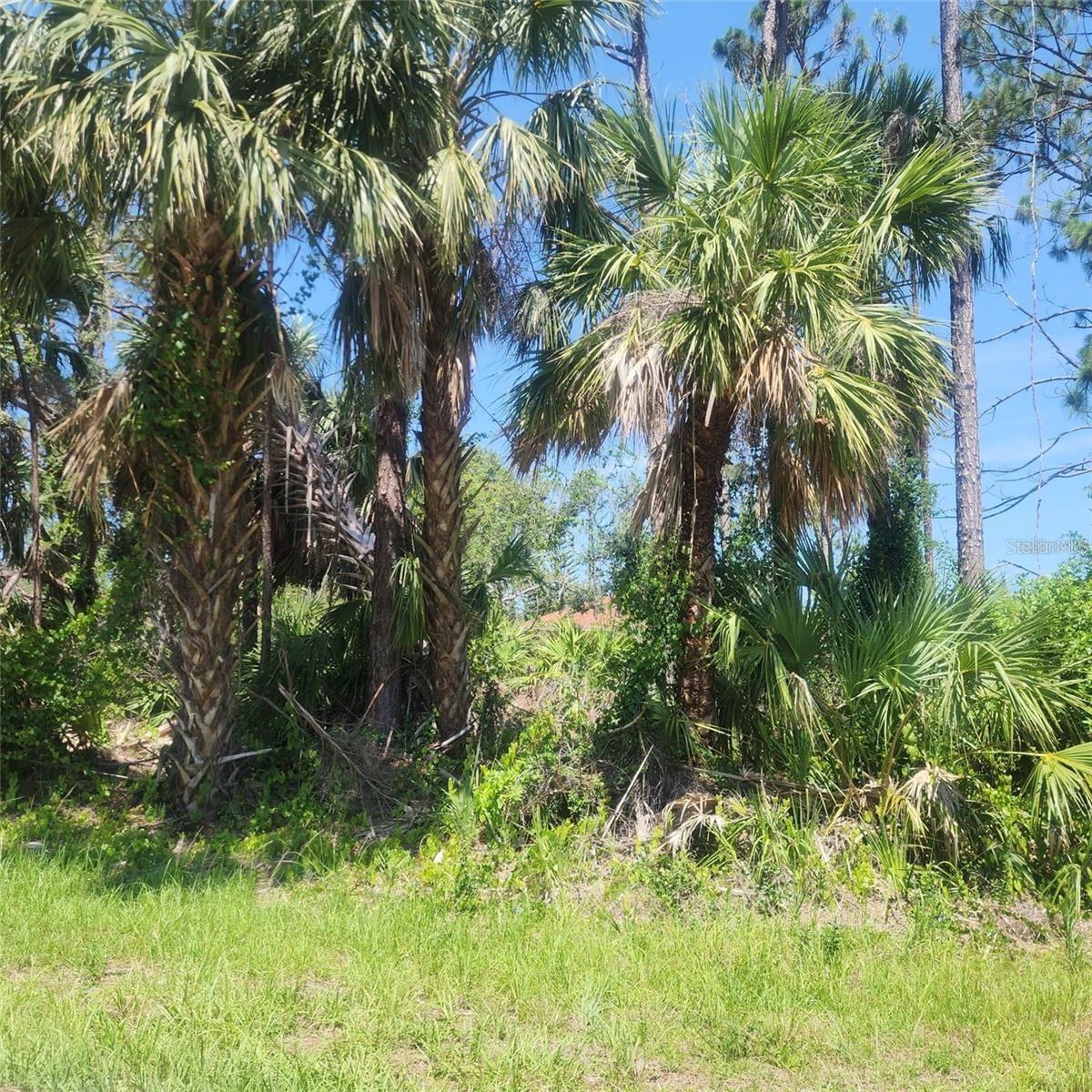 PROPERTY HAS SEPTIC TANK PERMIT APPROVED, BLUEPRINTS AVAILABLE. What a great oversized wooded corner lot with CITY WATER just a block off of Cranberry and just a few blocks off of nearby 41 and very close to the Cocoplum Shopping Center, Home Depot, Walmart and more! Also just take Cranberry up to the intersection with Toledo Blade to access I-75. You will love this ideal location which is also just the road from the Murdock area of Port Charlotte. This would be a great spot to build your dream home and enjoy the many amenities offered by the wonderful city of North Port.