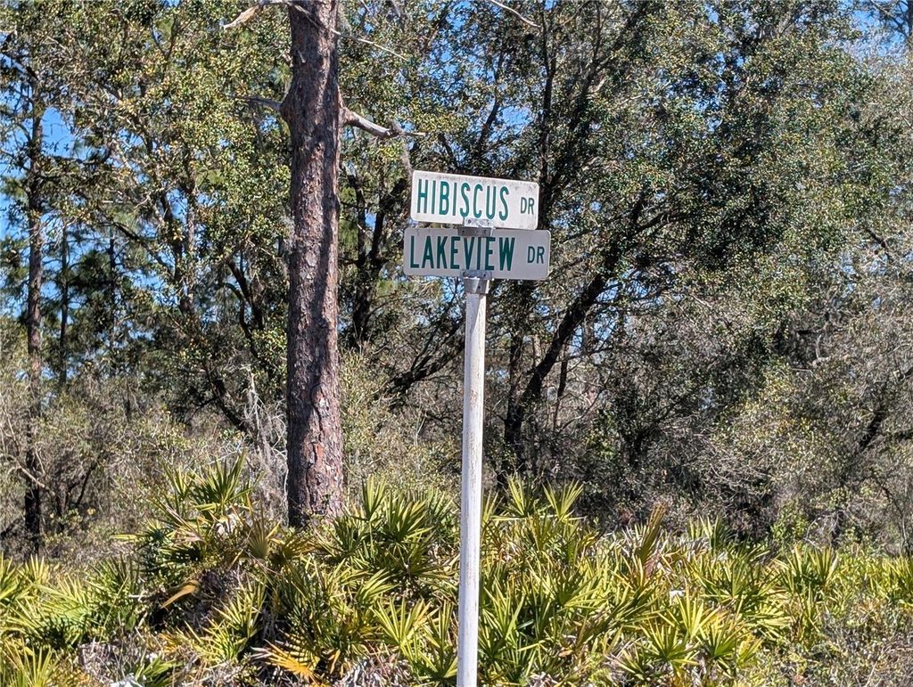 Photo of 923 Hibiscus Drive, Indian Lake Estates, FL 33855 (MLS # P4937902)