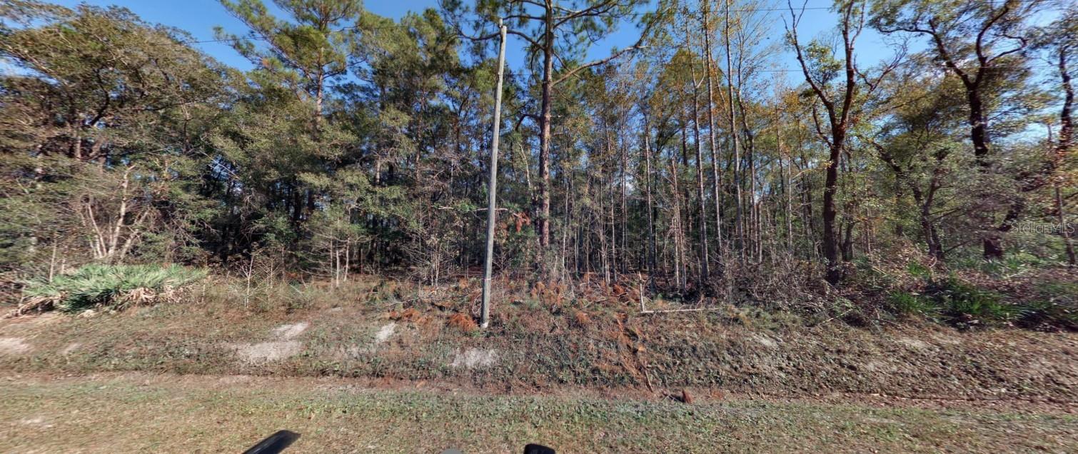 FLAGLER ESTATES UNPLATTED UNIT 2 - Land