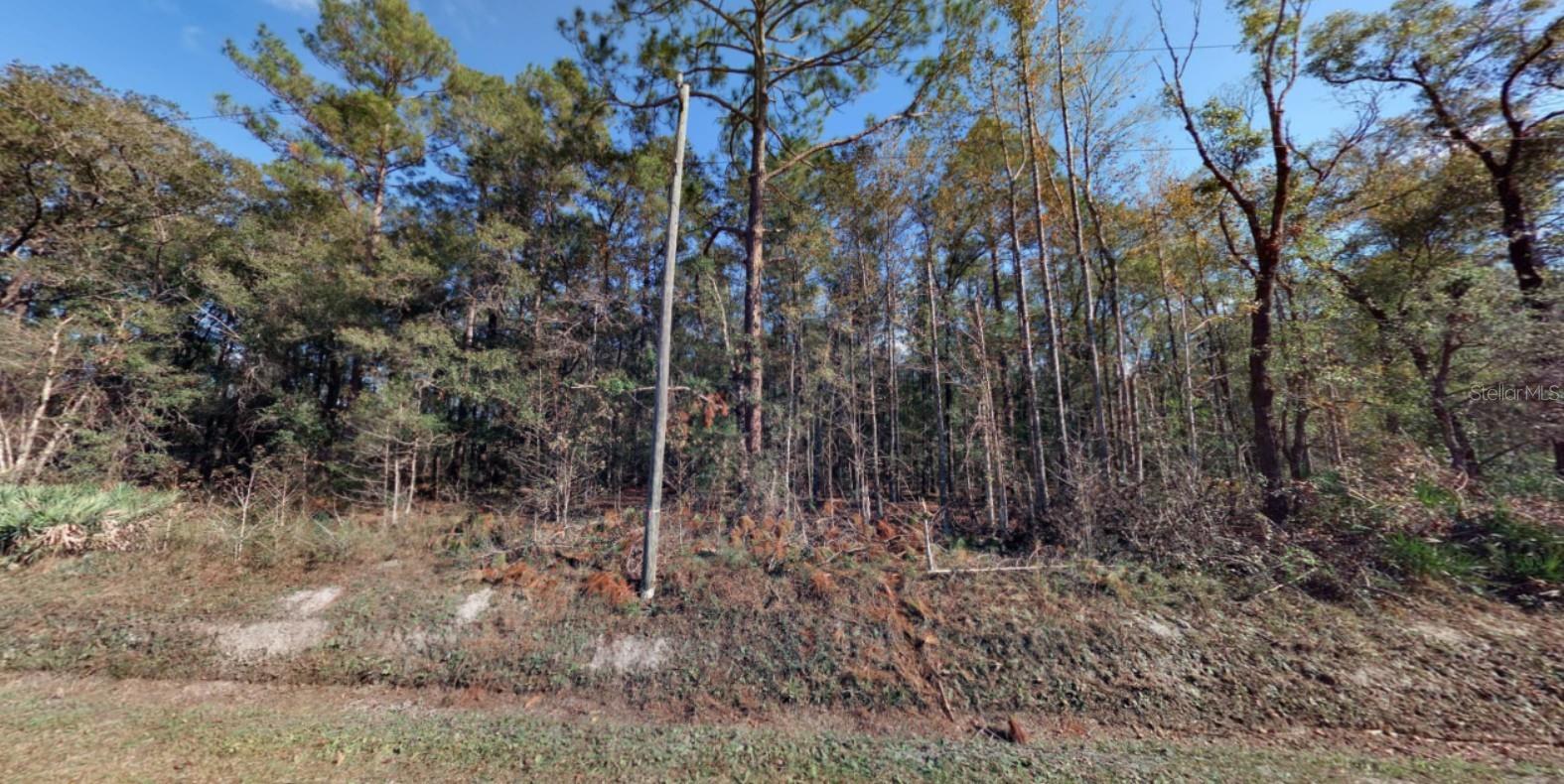 FLAGLER ESTATES UNPLATTED UNIT 2 - Land