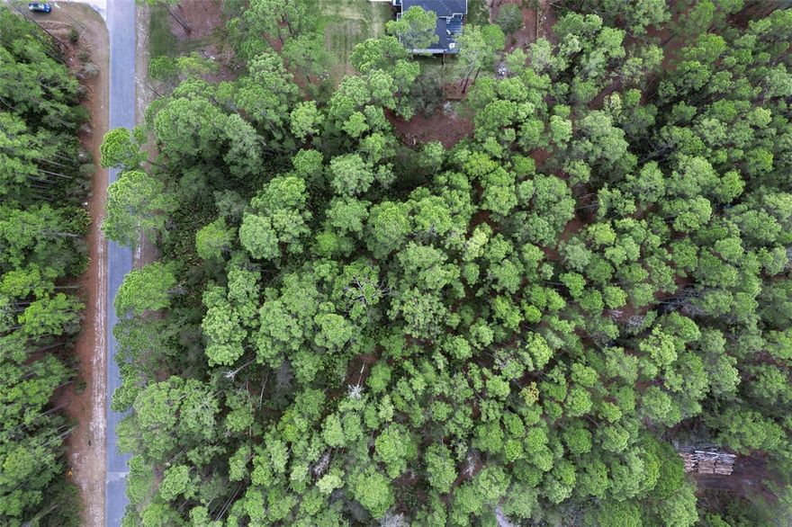 Your wilderness adventure awaits! Check out this oversized forested lot in Lake County's Royal Trails community. More than 1 acre surrounded by a community-owned conservation/stormwater parcel to the north and west and an already-developed, heavily treed parcel to the south. The northeast part of the parcel is low-risk Flood Zone X. Enjoy daily visits from bears, deer, and other wildlife. The community roads are paved and maintained by Lake County. Utilities include access to new fiber optic lines for the fastest residential speeds in Lake County - all without the big city bustle. SECO provides electrical service through recently replaced poles and lines. Community is deed restricted to ensure peace and tranquility prevail. All Royal Trails owners get deeded access to serene Lake Norris - and access to community meeting space and playground. ADDITIONAL DRONE PHOTOS TO COME!