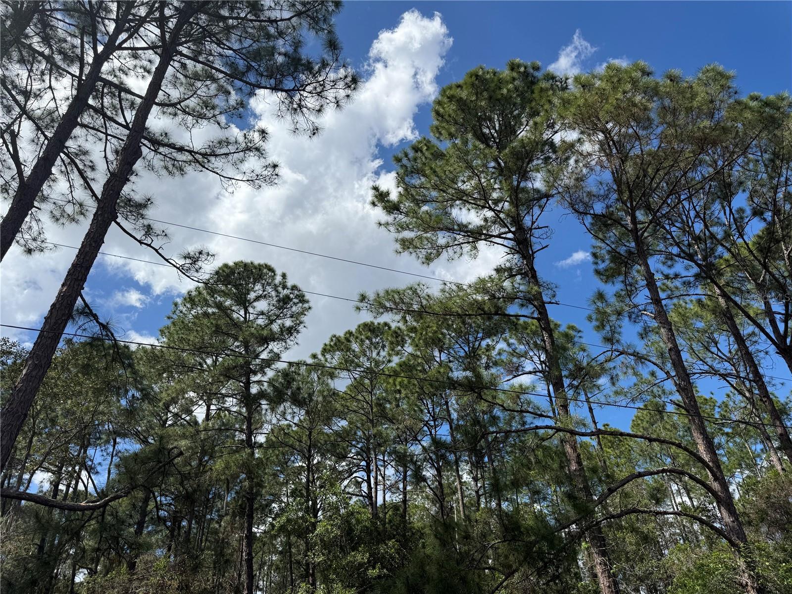 ROYAL TRAILS UNIT 01 - Land