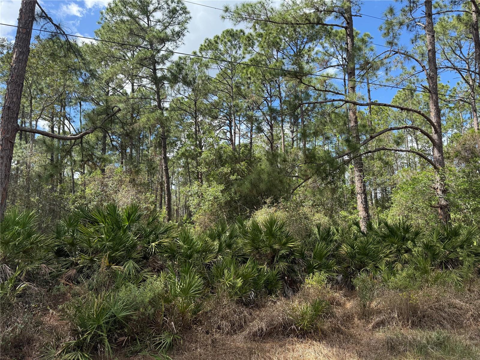 ROYAL TRAILS UNIT 01 - Land