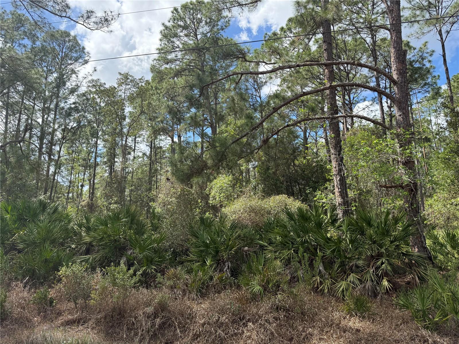 ROYAL TRAILS UNIT 01 - Land