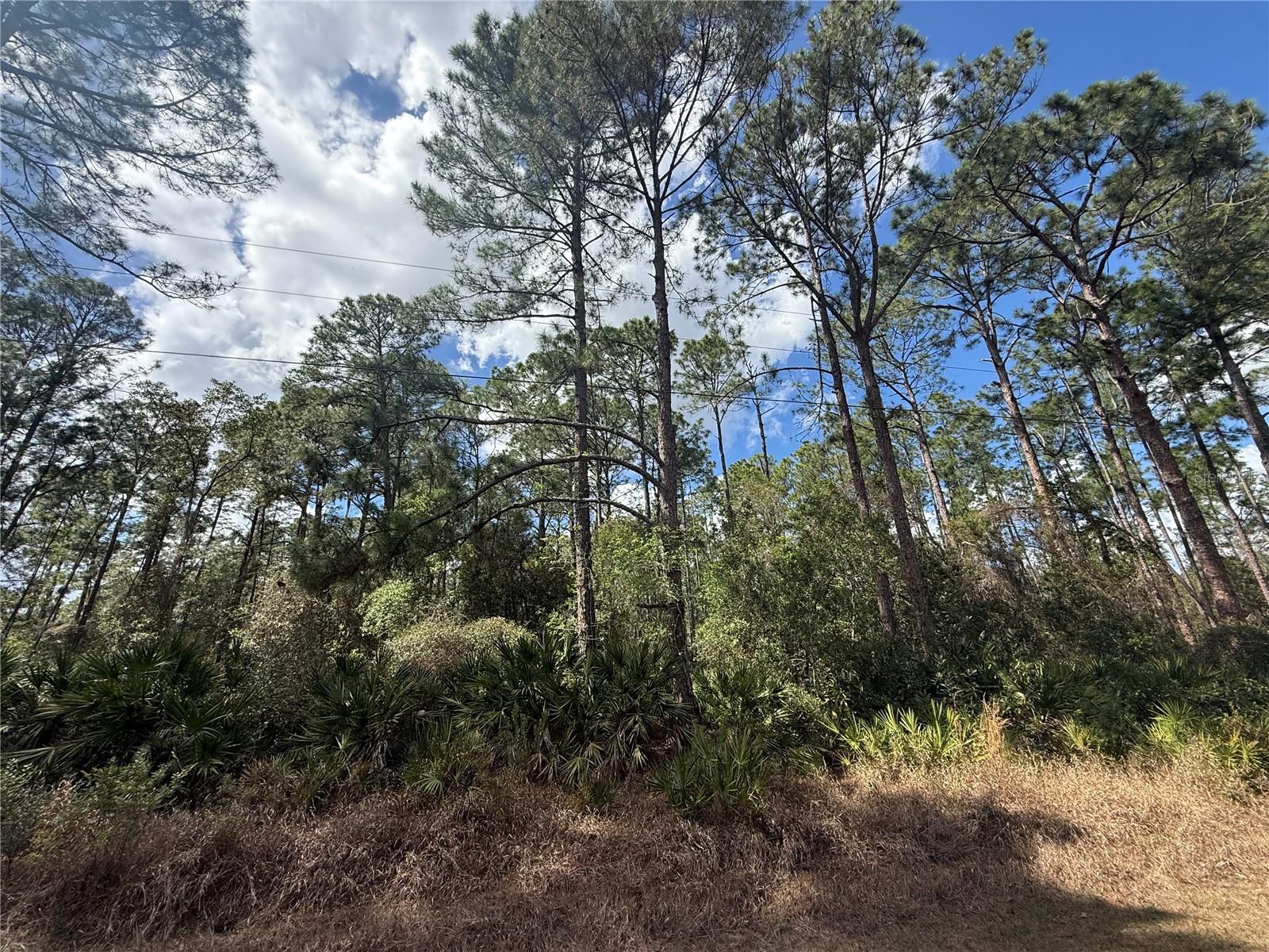 ROYAL TRAILS UNIT 01 - Land