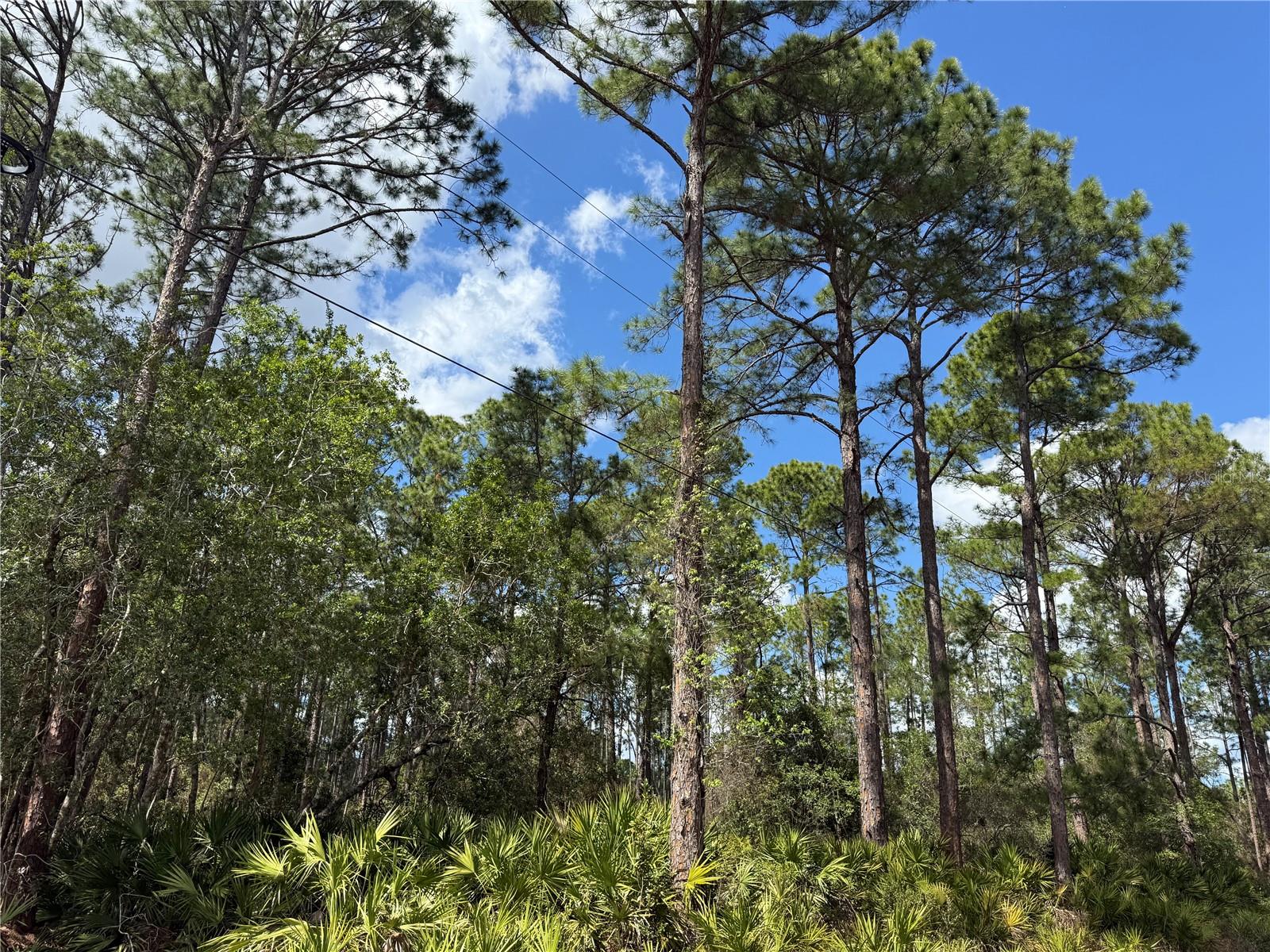 ROYAL TRAILS UNIT 01 - Land