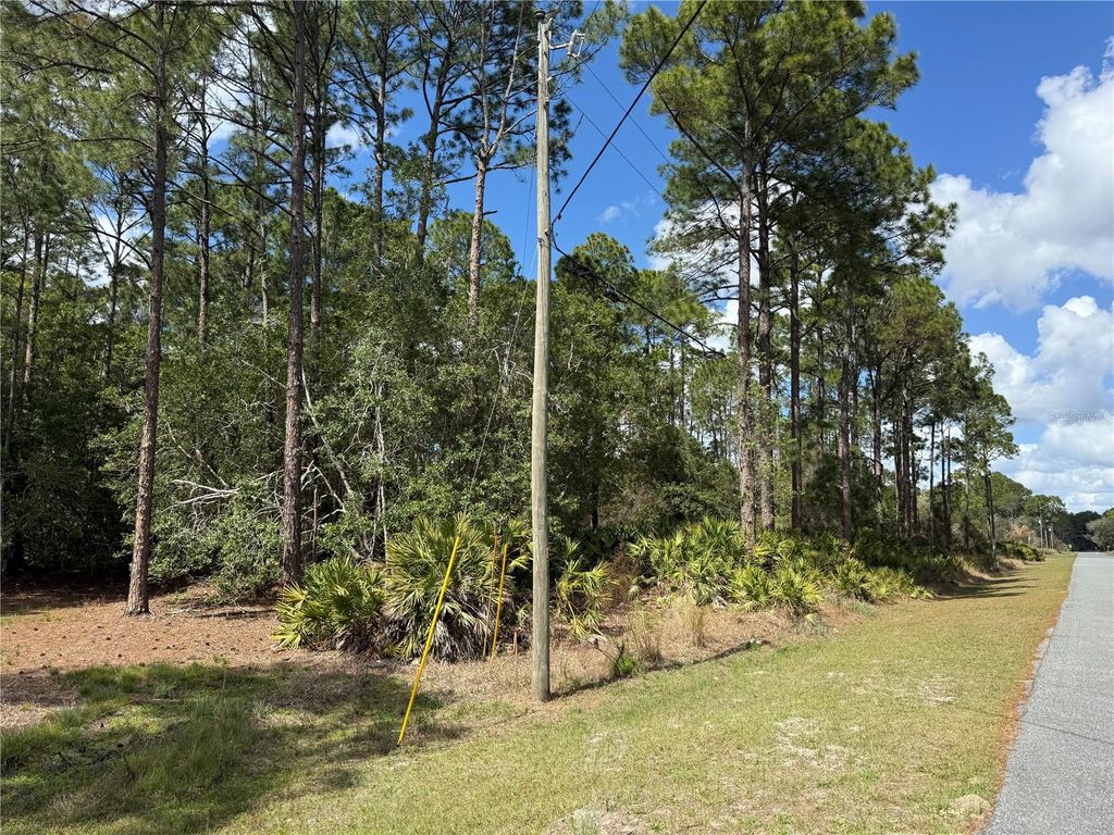 Photo of Cashew Street, Eustis, FL 32736 (MLS # G5109171)