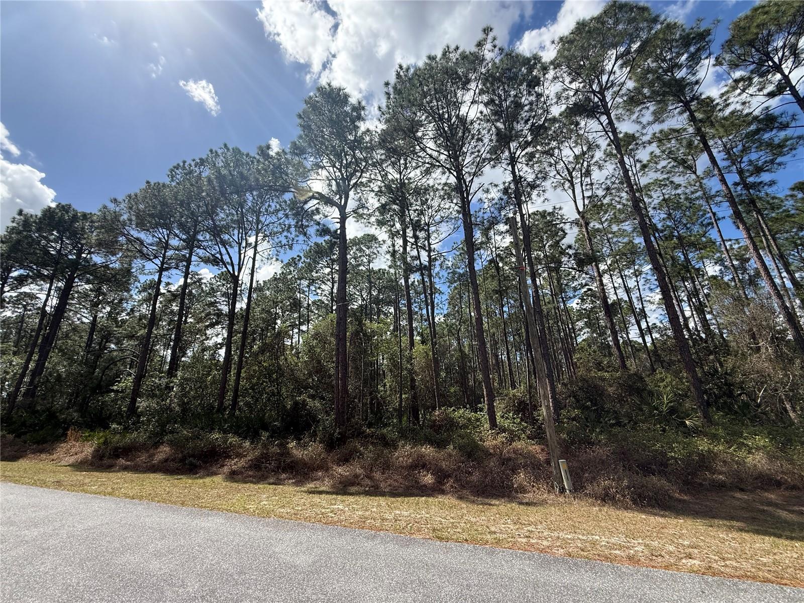 ROYAL TRAILS UNIT 01 - Land