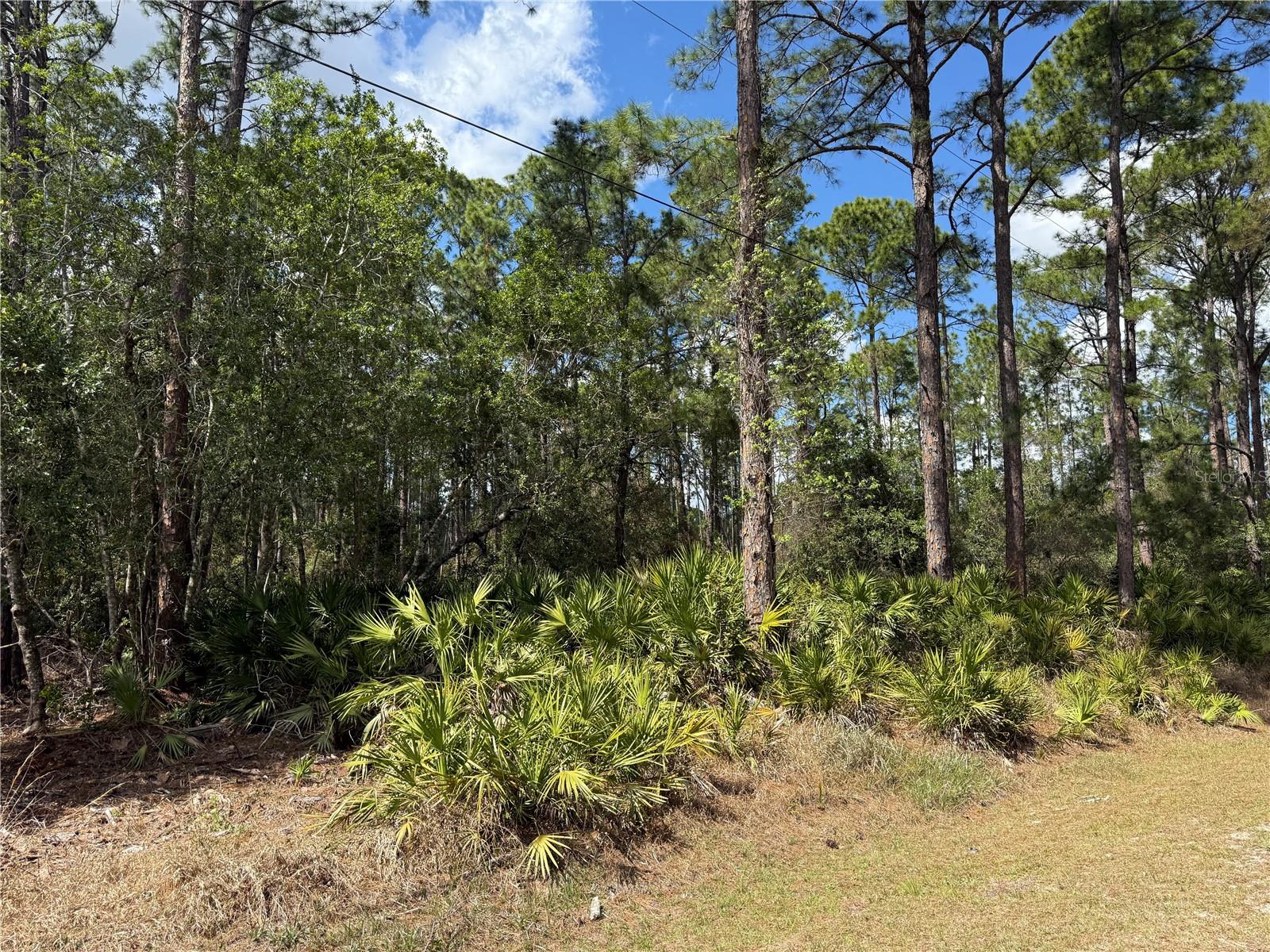 ROYAL TRAILS UNIT 01 - Land