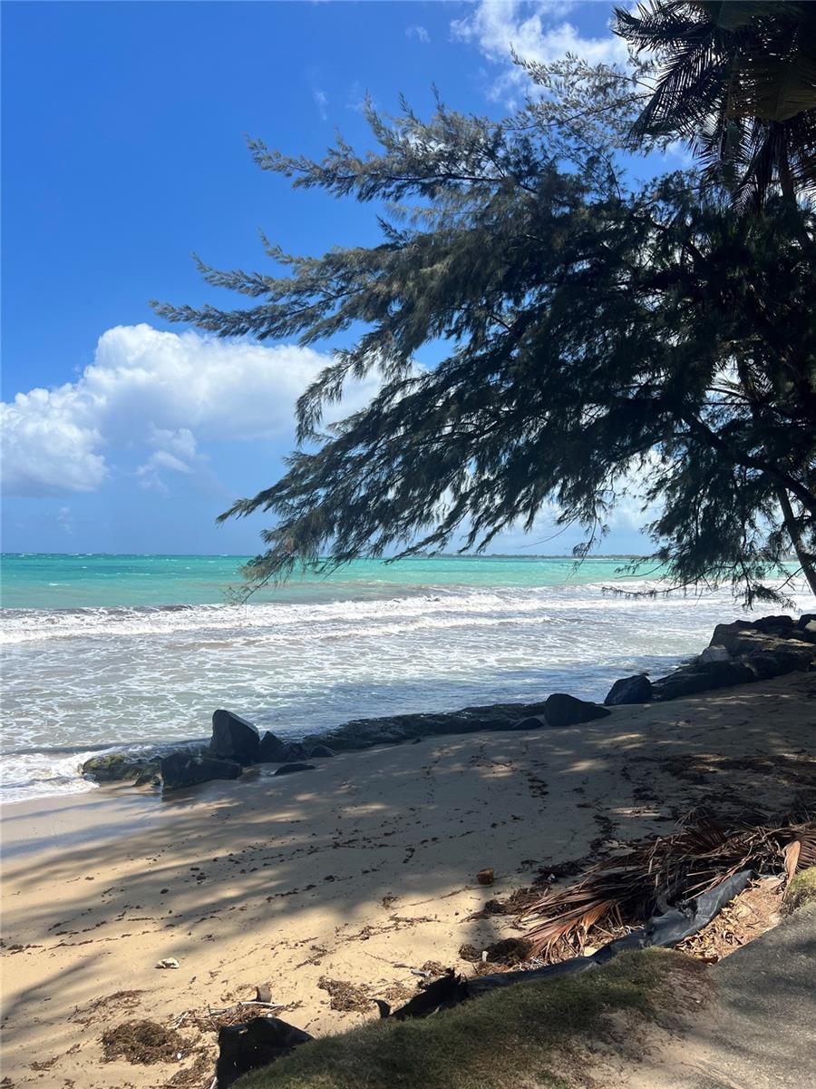 THE REEF CONDOMINIUM - Residential