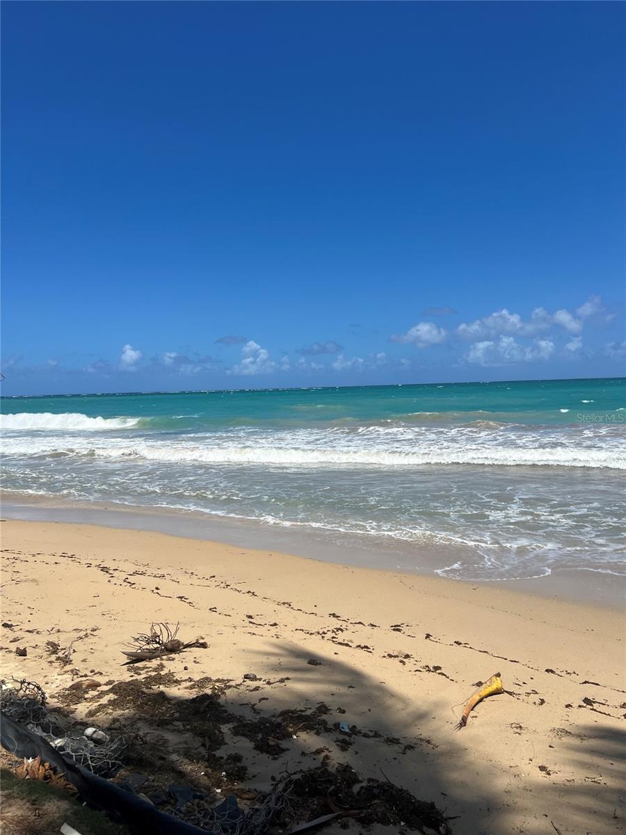 THE REEF CONDOMINIUM - Residential