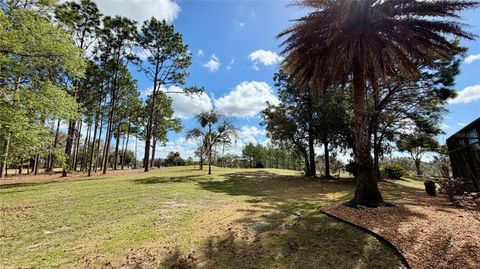 Tiny photo for 6717 SW 179th Avenue Road, Dunnellon, FL 34432 (MLS # O6388543)