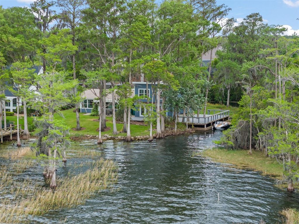 Photo of 10400 Lake Cottage Lane, Orlando, FL 32836 (MLS # O6396743)