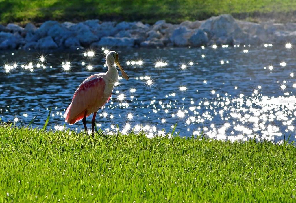 Photo of 4726 Potomac Circle, Bradenton, FL 34210 (MLS # A4651907)
