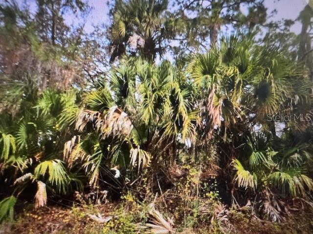 Great Lot! Perfect place for your new dream home. So much is happening in this area including new Sarasota Hospital being built. This lot is located in the region of North Port and Subdivision of PORT CHARLOTTE SUB 29. Excellent easy access to I75- great commuter location. Call us for more information and don't wait.