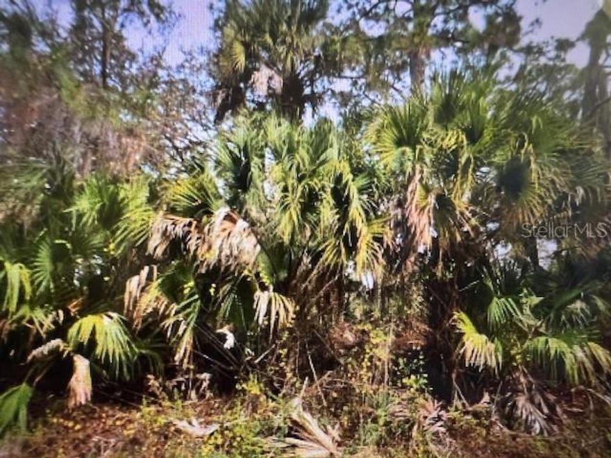 Great Lot! Perfect place for your new dream home. So much is happening in this area including new Sarasota Hospital being built. This lot is located in the region of North Port and Subdivision of PORT CHARLOTTE SUB 29. Excellent easy access to I75- great commuter location. Call us for more information and don't wait.