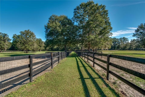 Tiny photo for 7787 NW 150th Avenue, Morriston, FL 32668 (MLS # OM728506)
