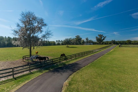 Tiny photo for 7787 NW 150th Avenue, Morriston, FL 32668 (MLS # OM728506)