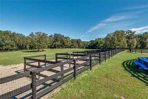 Tiny photo for 7787 NW 150th Avenue, Morriston, FL 32668 (MLS # OM728506)