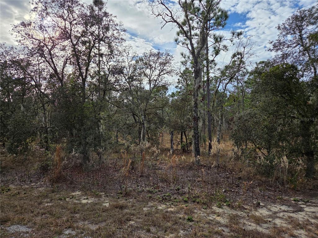 Photo of 0000 SE 128th Avenue, Dunnellon, FL 34431 (MLS # OM718051)