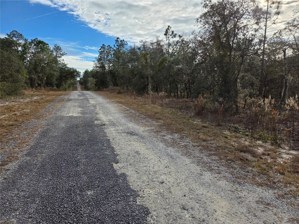 Photo of 0000 SE 128th Avenue, Dunnellon, FL 34431 (MLS # OM718051)