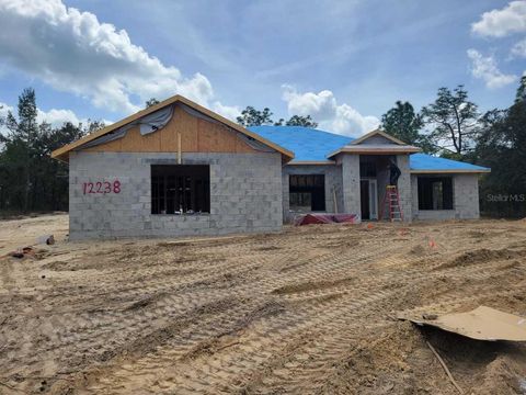 12238 SW 85TH PLACE DUNNELLON FL 34432