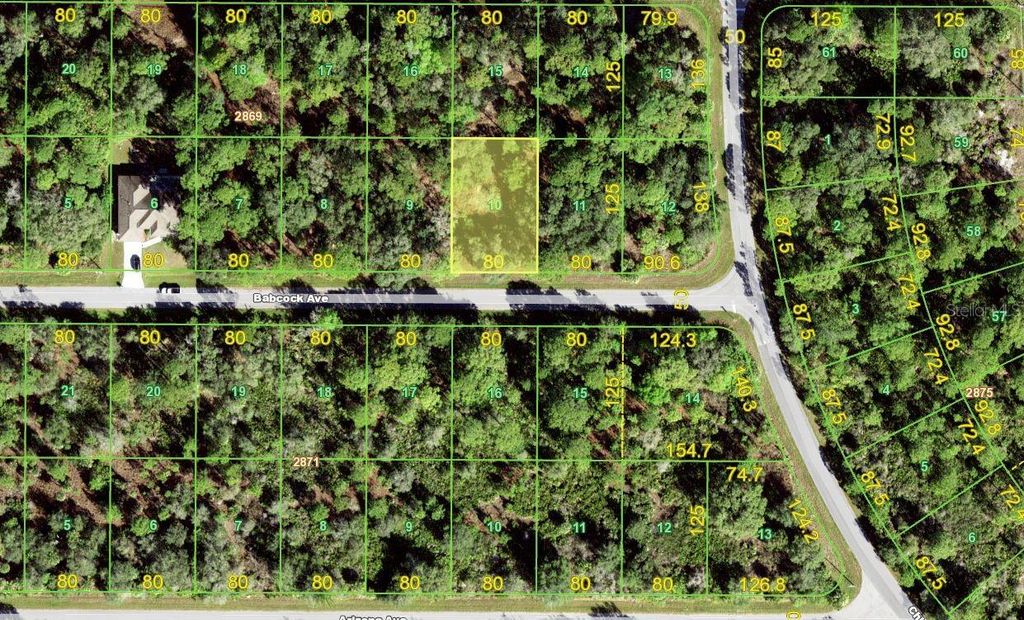 Photo of 13212 Babcock Avenue, Port Charlotte, FL 33953 (MLS # T3421055)