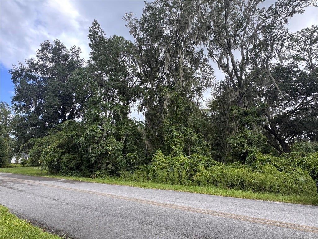 Photo of SE 4th Ave, Melrose, FL 32666 (MLS # GC543660)