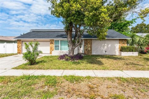 Photo of 7403 Foxbloom Drive, Port Richey, FL 34668 (MLS # S5119968)