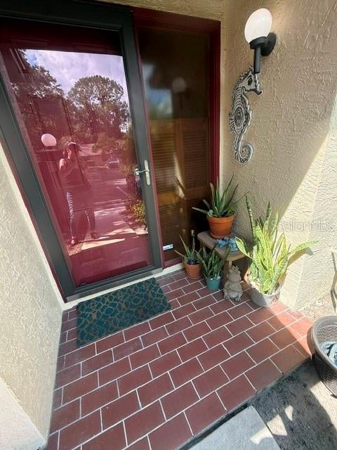 Photo of 4031 Bluff Oak Court, Palm Harbor, FL 34684 (MLS # TB8554154)
