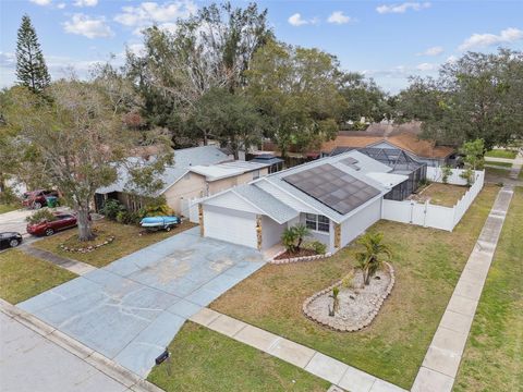 A home in PINELLAS PARK