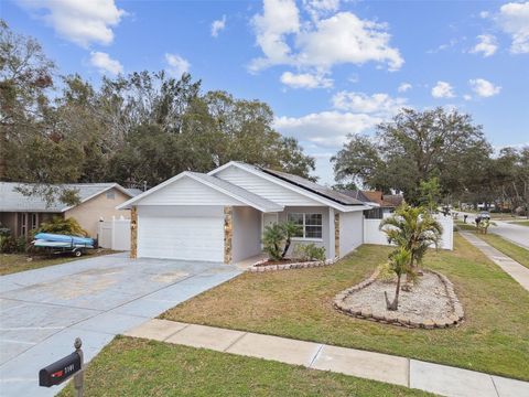 A home in PINELLAS PARK