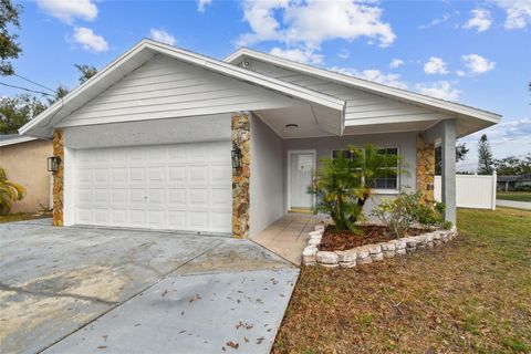 A home in PINELLAS PARK