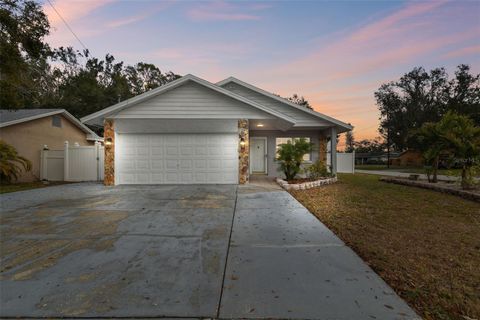 A home in PINELLAS PARK