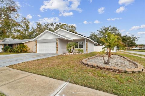 A home in PINELLAS PARK