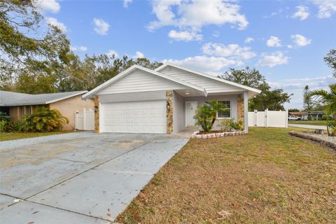 A home in PINELLAS PARK