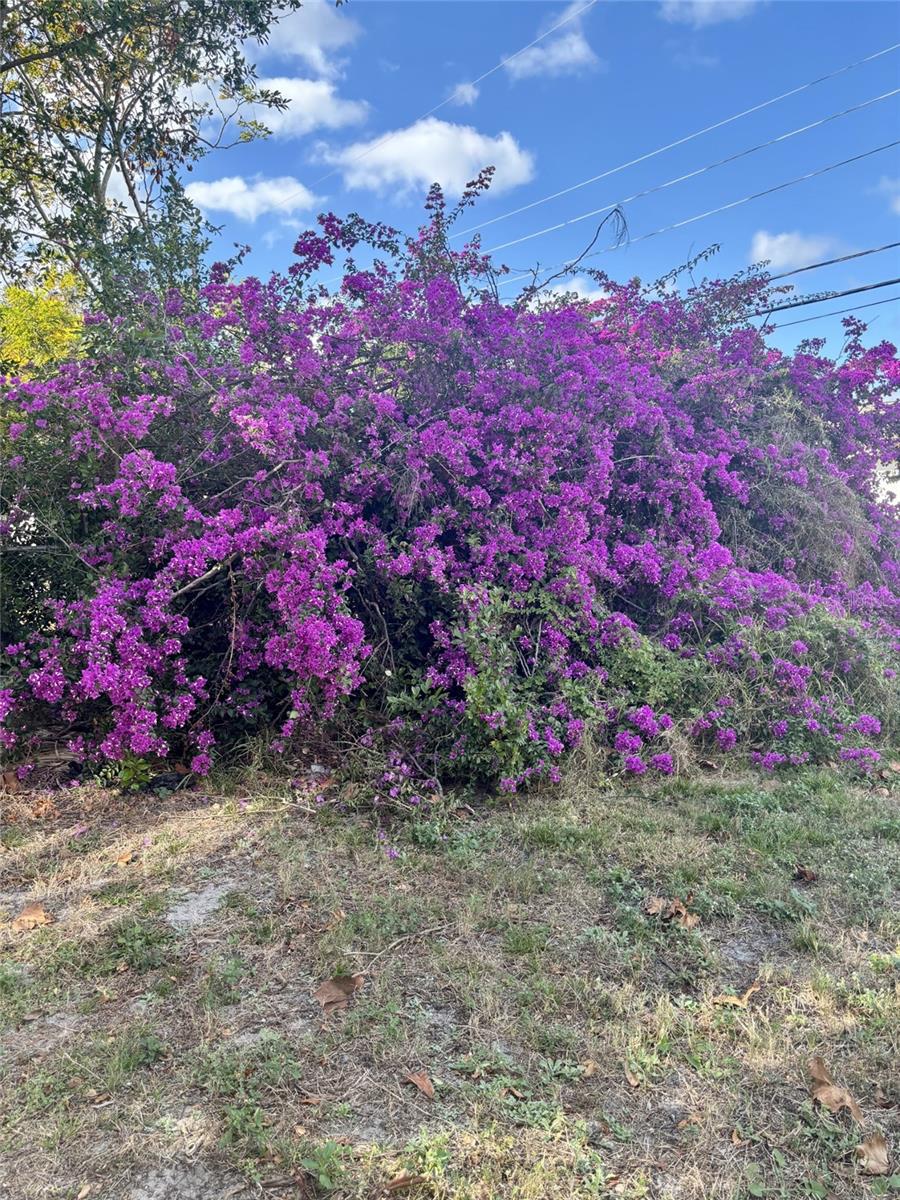 JASMINE LAKES - Residential Lease