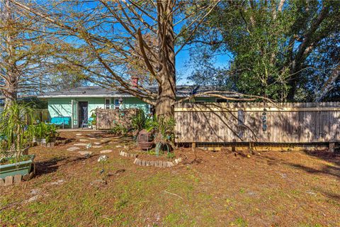 A home in MOUNT DORA